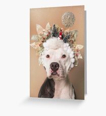 Flower Power, Gibson Greeting Card