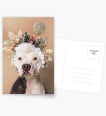 Flower Power, Gibson Postcards