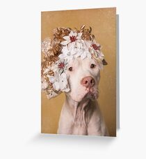 Flower Power, Maria Greeting Card