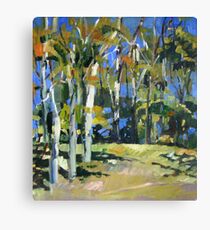 Pale Gums Canvas Print