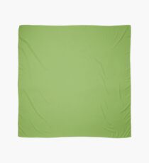 Color of the Year Pantone 2017 Designer Colors Greenery Scarf