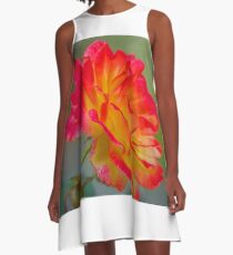 Pretty Petals A-Line Dress