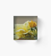 Buds and Blooms Acrylic Block