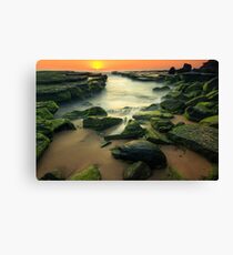 Mossy Dream Canvas Print