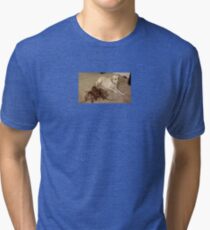 dog and crusty Tri-blend T-Shirt
