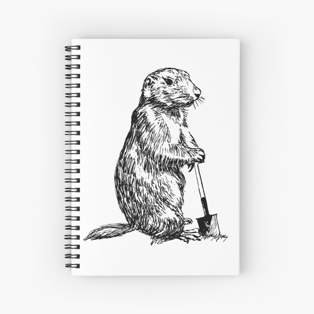 Prairie Dog Drawing Step By Step ~ Drawing