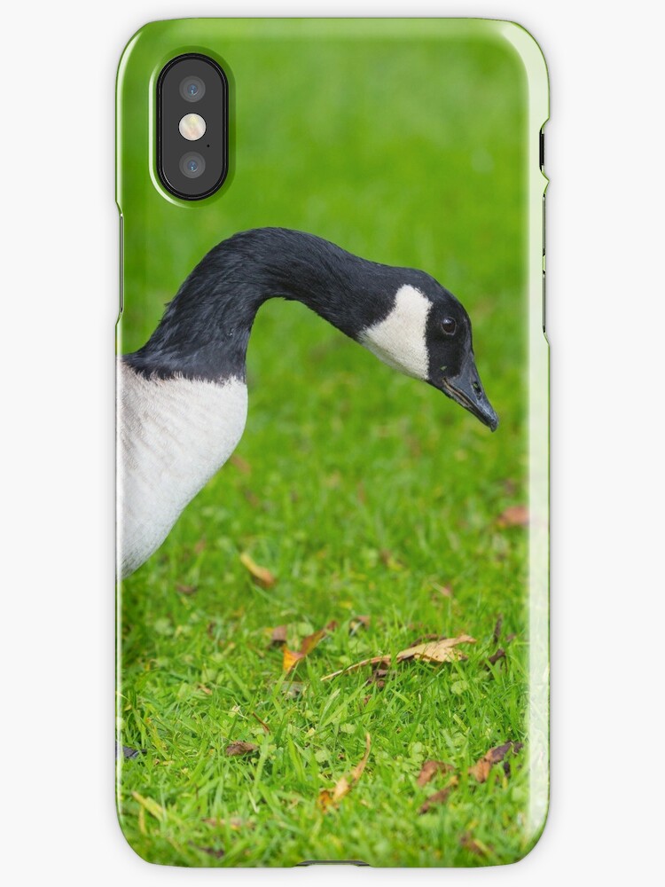 coque canada goose coque canada goose
