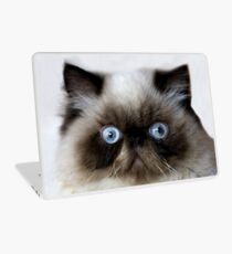 Lustige Katze Laptop Folie