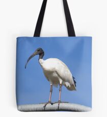 Australian Ibis Tote Bag