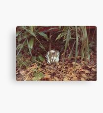 Tina Canvas Print