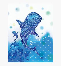 Marokintana - Whale Shark I Photographic Print