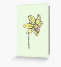 Daffodil Greeting Card