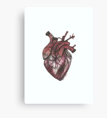 Human Heart Canvas Print