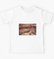 Horsecollar Ruin Kids Tee