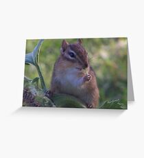 The Munk Fest on the Sunflower Greeting Card