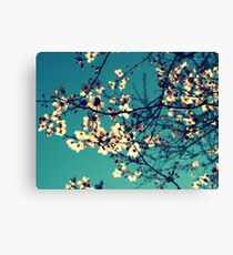 You Are My Sunshine Canvas Print
