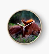 Precious little Clock