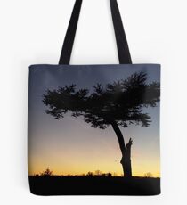 Sunset in the Park Tote Bag
