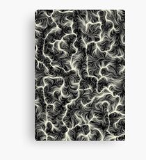 FIBRE Canvas Print