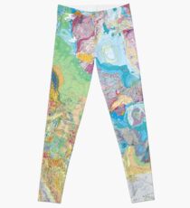 USGS Geologic Map of North America Leggings