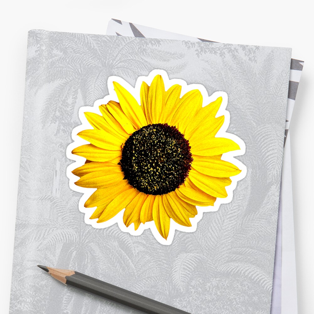 "Sunflower Drawing Yellow Happy Flower Laptop Water Bottle ...