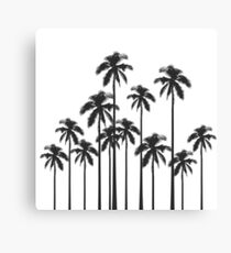 Lienzo Palmeras tropicales exóticas en blanco y negro