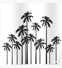 Black and White Exotic Tropical Palm Trees Poster