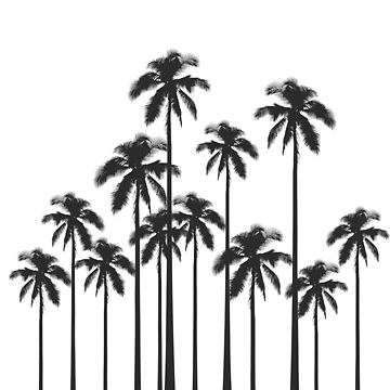 Black and White Exotic Tropical Palm Trees - Palm Trees - Sticker