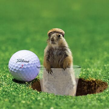 Artwork thumbnail, Gopher Golf by BigRedCurlyGuy