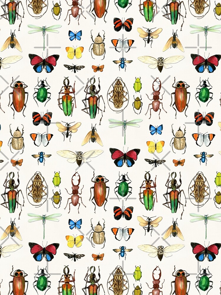 The Usual Suspects - insects on white - watercolour bugs pattern by Cecca Designs by Cecca-Designs