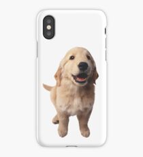 Puppy! Retriever! iPhone Case