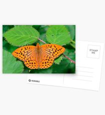 Silver-washed fritillary Postcards