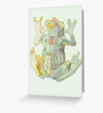 Glass Frog Menagerie Greeting Card