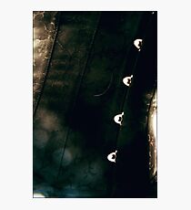 Corset Photographic Print