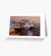 Snake Tongue Greeting Card