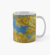 Aspen-Bäume gegen Himmel Tasse (Standard)
