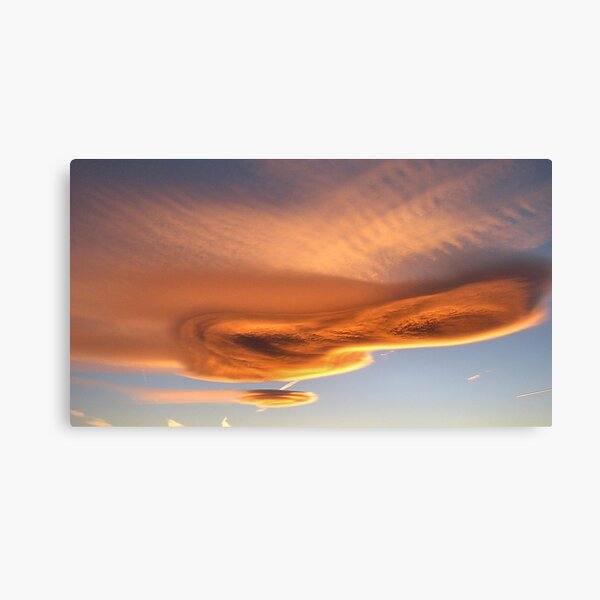 Just For Sam Canvas Print