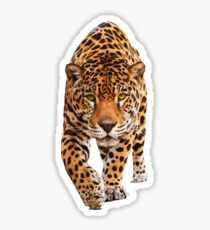 Pegatina jaguar