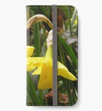 Sunshine - Yellow Daffodil iPhone Wallet/Case/Skin