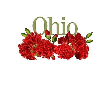 Ohio Red Carnations State Flower  Ohio State Gifts Pin for Sale