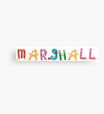 Marshall Metallbild