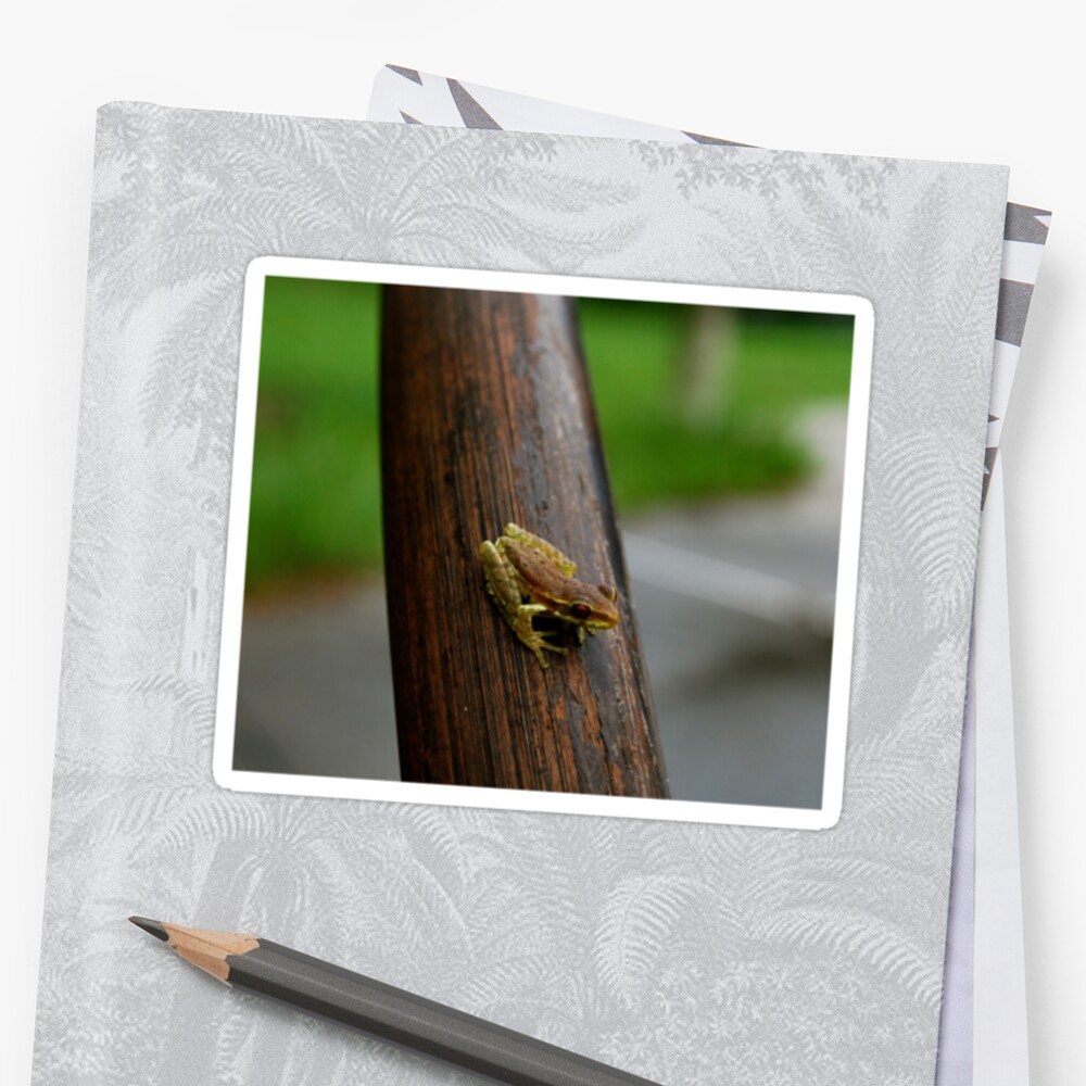 quot;Backyard Buddy quot; Stickers by Sarah Hall  Redbubble