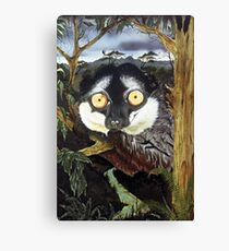 Lemer Canvas Print