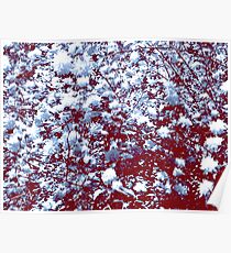Flowers - Pale Poster