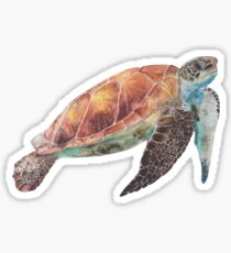 Watercolor seaturtle Sticker