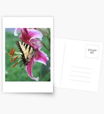 monarch butterfly on stargazer lilly Postcards