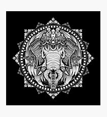 Elephant Medallion Photographic Print