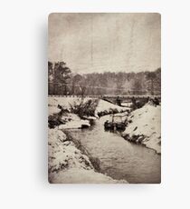 snow scene Canvas Print