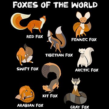 Foxes of The World Cute Fox Lover Animals Educational | Poster