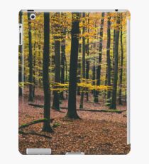 MINDS IN NATURE|MODERN PRINTING|1 Pc #27983611 iPad Case/Skin